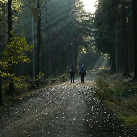 Zimmervermietung-Heide-Fiege Hartmannsdorf bei Chemnitz Exterior photo
